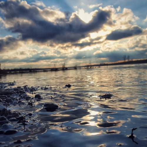 Photo #8488811