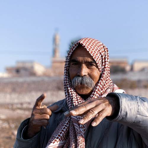 Photo #8489314