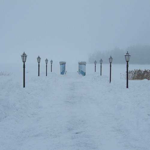 Photo #8490032