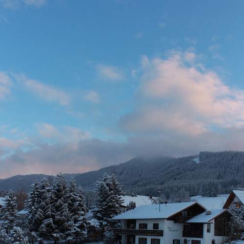 Photo #8490254