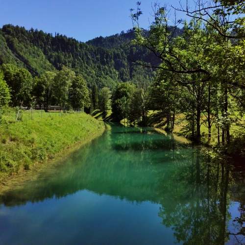Photo #8490262