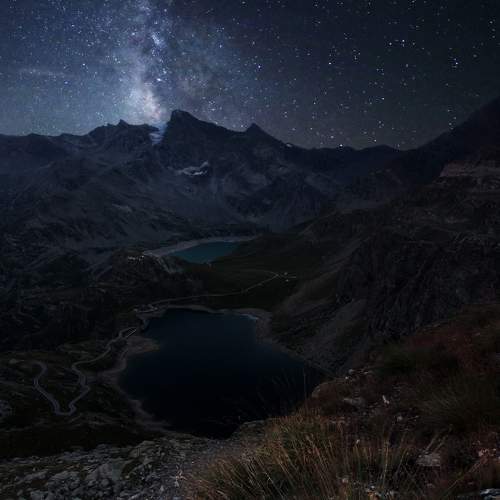 Photo #8490266