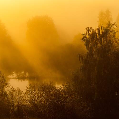 Photo #8490400