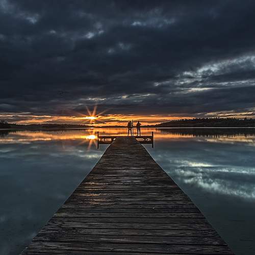 Photo #8490440