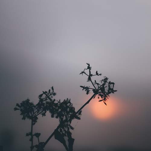 Photo #8490871