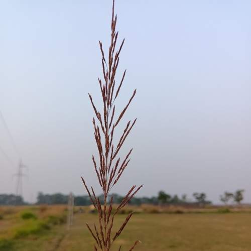 Photo #8490919