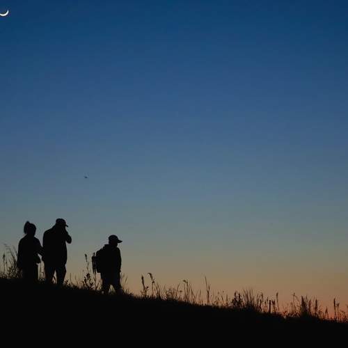 Photo #8490945