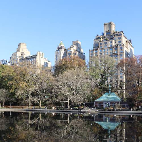 Photo #8490959