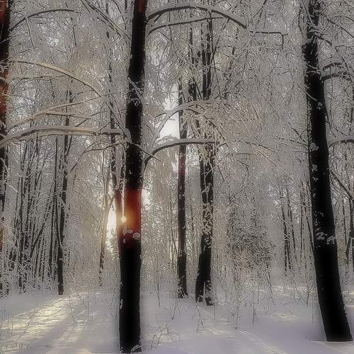 Photo #8491034