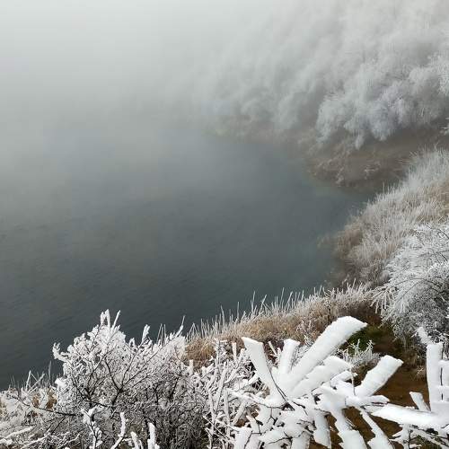 Photo #8491173