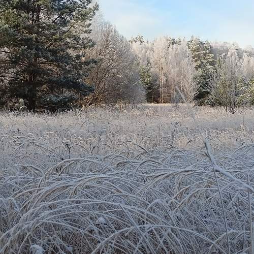 Photo #8491213