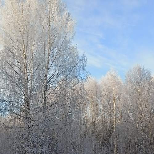 Photo #8491215
