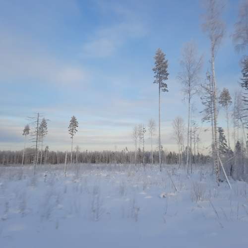 Photo #8491348