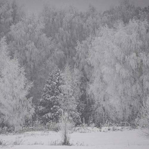 Photo #8491391