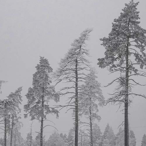 Photo #8491404