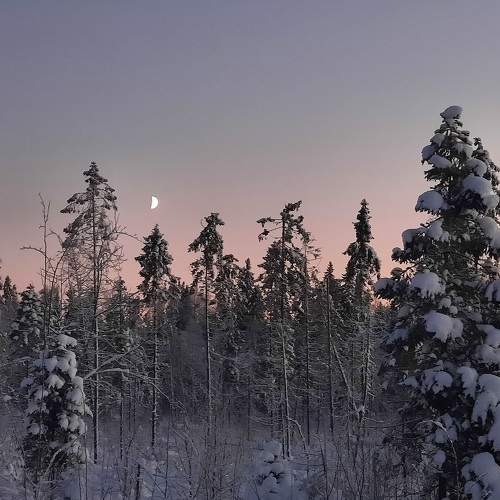 Photo #8491488