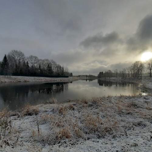 Photo #8491504