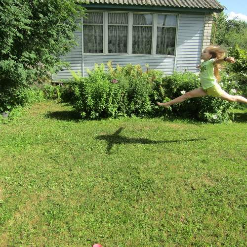 Photo #8491676