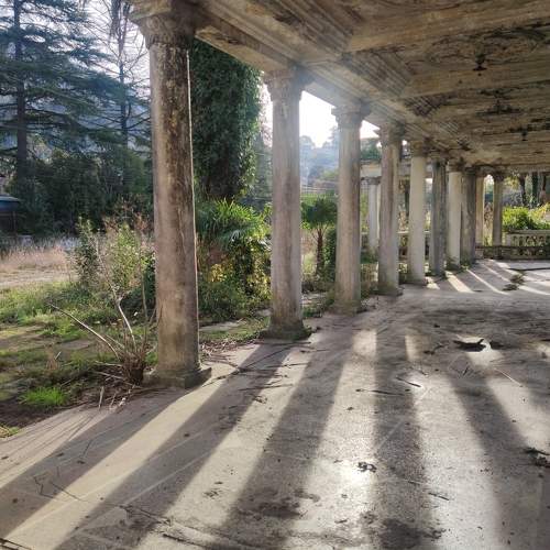 Photo #8491741