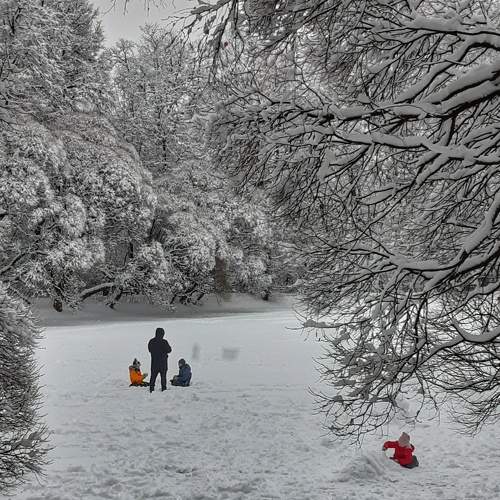 Photo #8491748