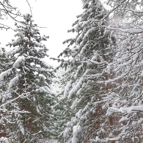 Photo #8491762