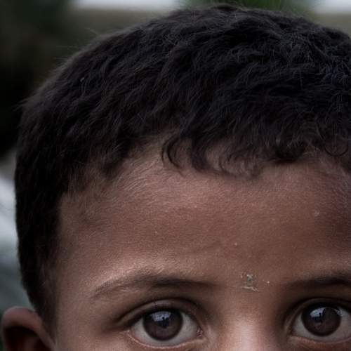 Photo #8491775