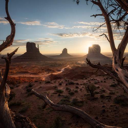 Photo #8491801