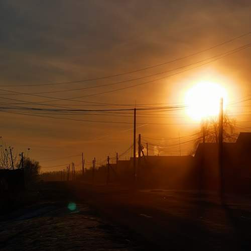 Photo #8491918