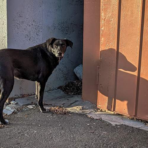 Photo #8491959