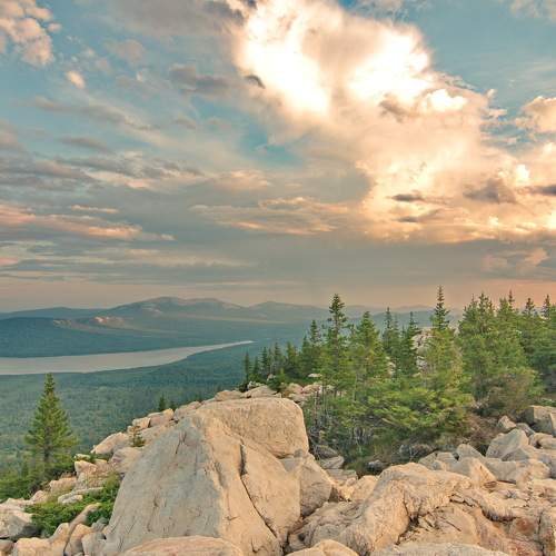 Photo #8492046