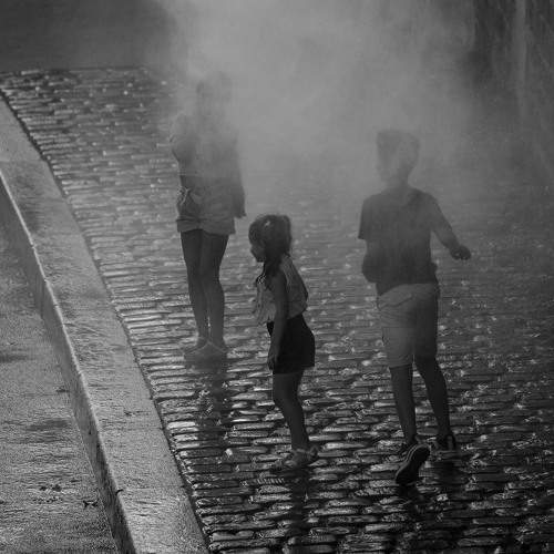 Photo #8492428
