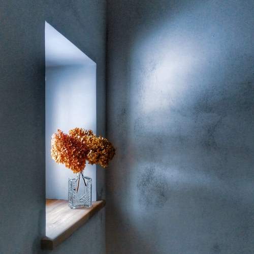 Photo #8492593