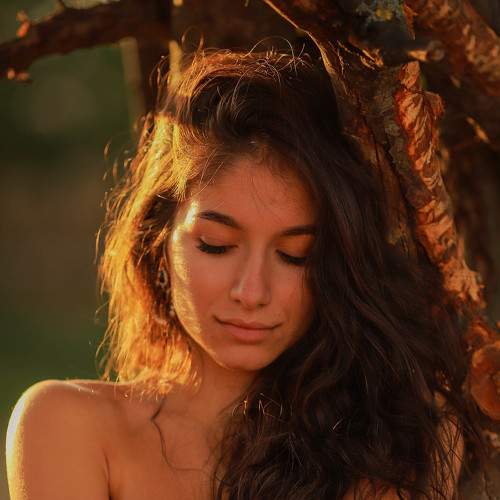 Photo #8492708