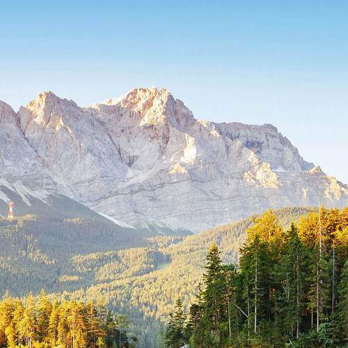 Photo #8492798