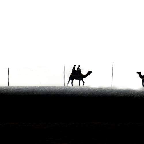 Photo #8492800