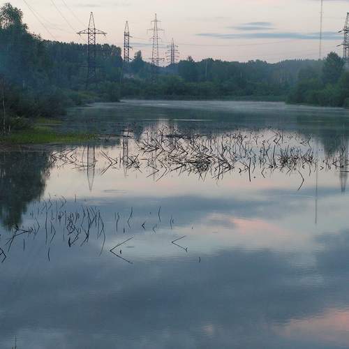 Photo #8492911