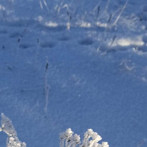 Photo #8492959