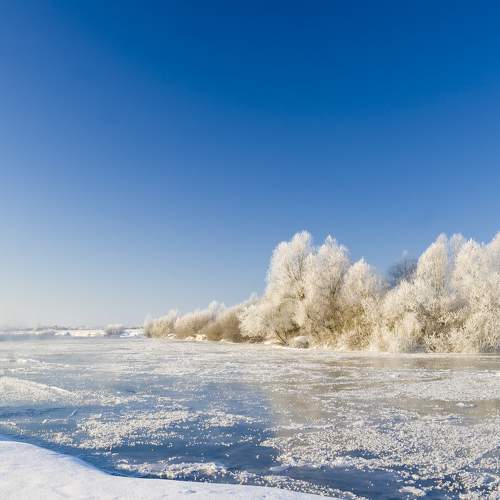 Photo #8493015