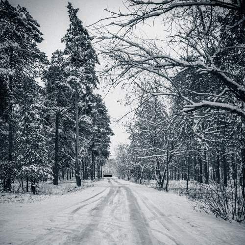 Photo #8493026