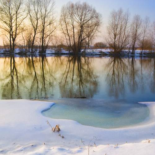 Photo #8493136