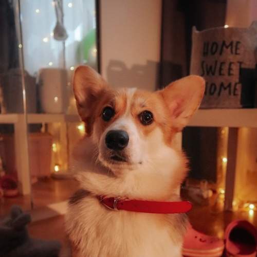 Photo #8493181