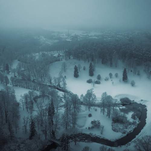 Photo #8493242