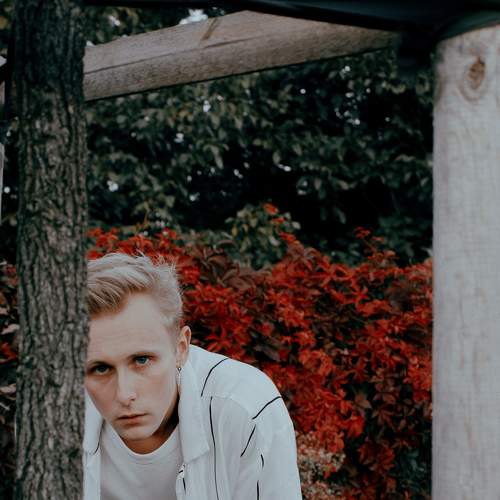 Photo #8493300