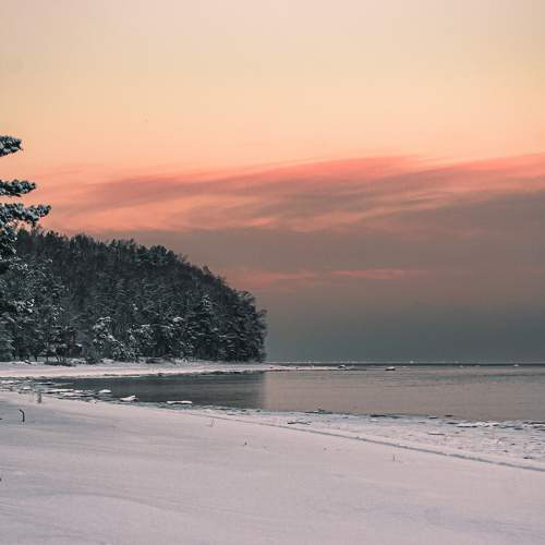 Photo #8493394