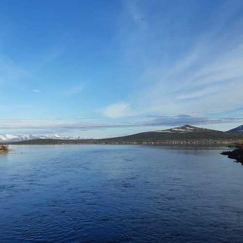 Photo #8493397