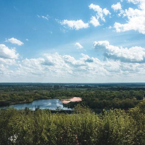 Photo #8493519