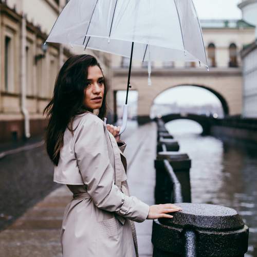 Photo #8493596