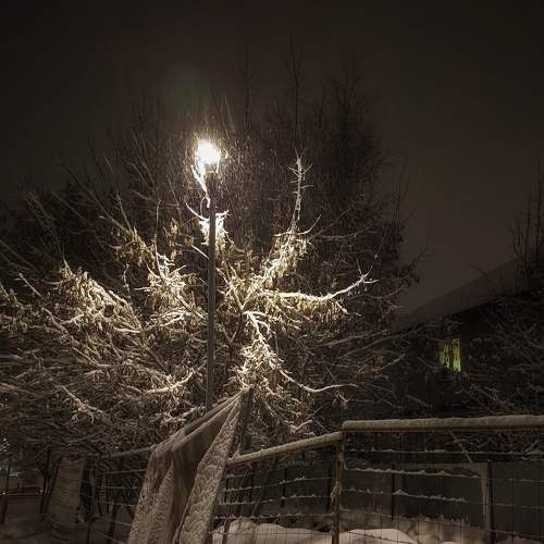 Photo #8493709