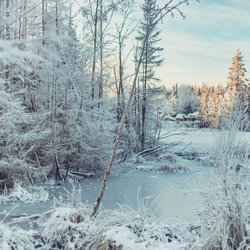 Photo #8494004