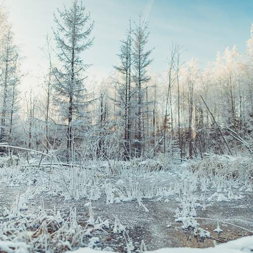 Photo #8494016